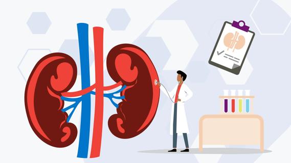 illustration of a caregiver and the kidneys